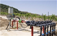 Dalton winery, Elkosh Vineyard