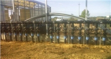 Artigiana Impianti Greenhouses